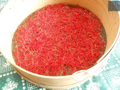 Dopo aver eliminato le eventuali impurit� i pistilli vengono disposti in un setaccio 